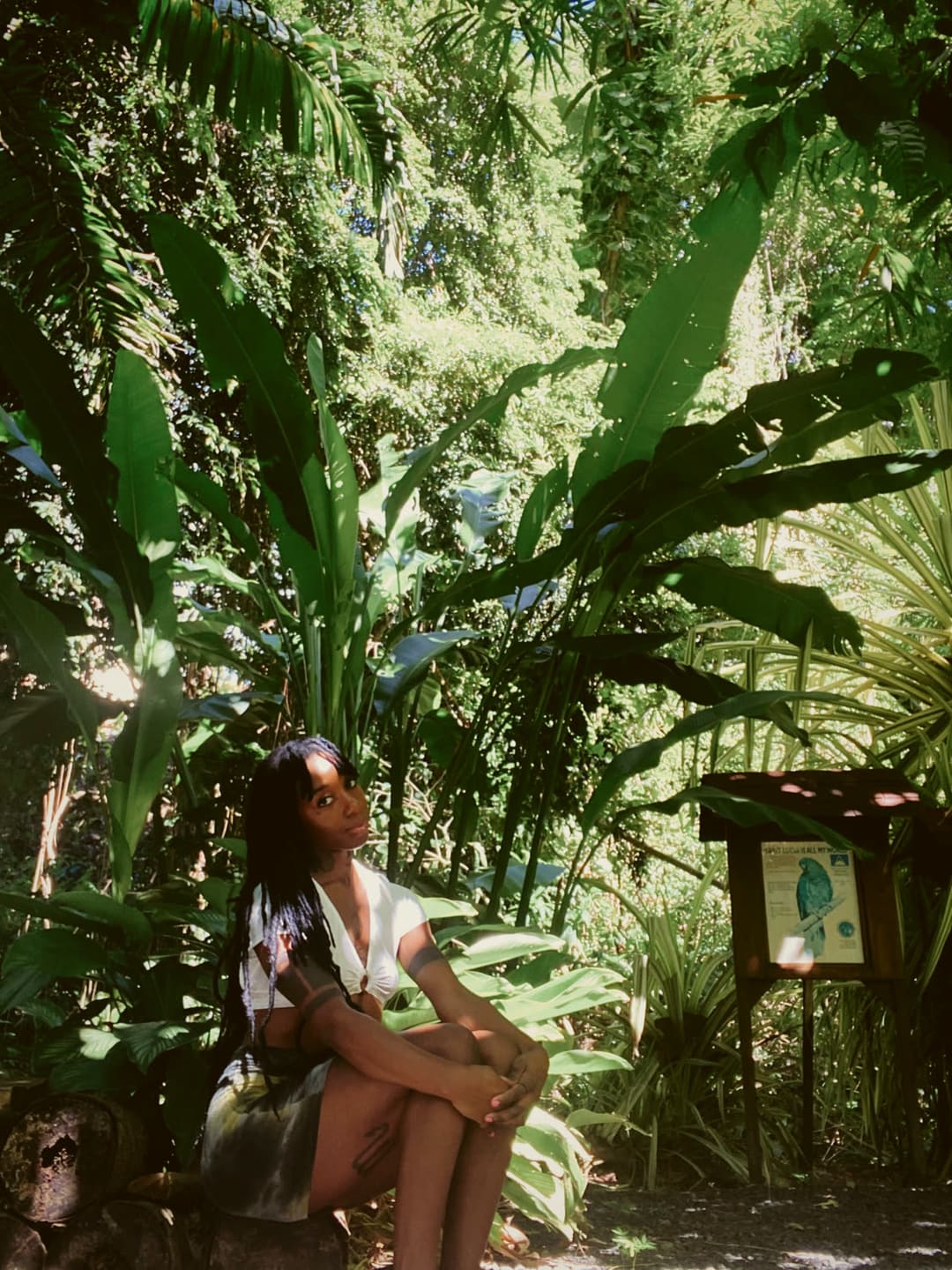 Asani seated in a Saint Lucia rainforest